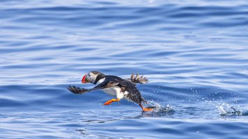 HB 20230808_51A7550_DxO-Bearbeitet.JPG