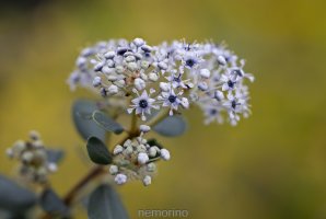 2023-12-30 09-25-01 (C,S4)18.jpg