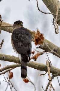 EOS R7_1604-Enhanced-NR-Edit.jpg