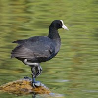 DSC_7342_DxO_DxO.jpg DSC_7342_DxO_DxO.jpg