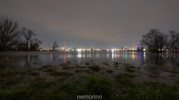 RF 14 streight 8192.jpg