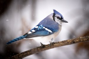 small--6.jpg small--6.jpg