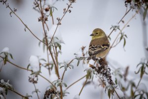 small-1680.jpg small-1680.jpg