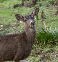 E57A1931-Enhanced-NR.jpg E57A1931-Enhanced-NR.jpg