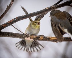 small-1643.jpg small-1643.jpg