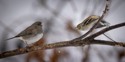 small-1629.jpg small-1629.jpg