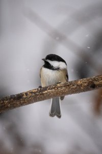 small-1870.jpg small-1870.jpg