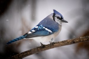 small-2024.jpg small-2024.jpg