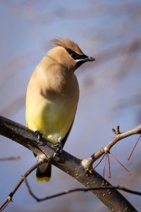 small-2789.jpg small-2789.jpg