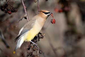 small-2998.jpg small-2998.jpg