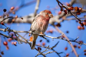 small-3138.jpg small-3138.jpg