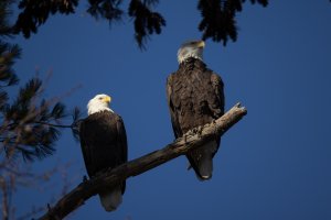 small-3173.jpg small-3173.jpg