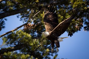 small--9.jpg small--9.jpg