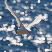 DSC_8995_DxO.jpg DSC_8995_DxO.jpg