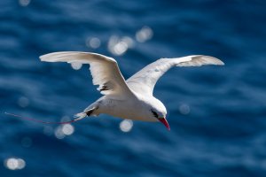 DSC_9071_DxO.jpg DSC_9071_DxO.jpg