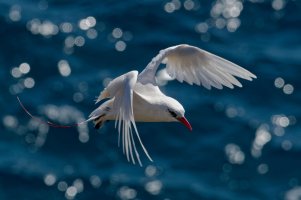 DSC_9329_DxO.jpg DSC_9329_DxO.jpg