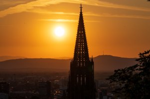 small size SZWL3382.jpeg