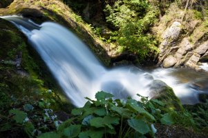 Groß (SZWL3441).jpeg