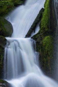 Groß (SZWL3489).jpeg