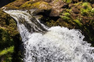 Groß (SZWL3542).jpeg