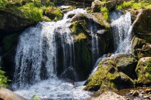 Groß (SZWL3545).jpeg