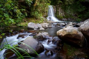 Groß (NZ197303).jpeg