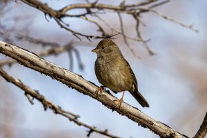 EOS R5_2851-Enhanced-NR-Edit.jpg