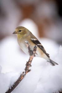 Small--30.jpg Small--30.jpg