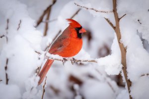 Small--36.jpg Small--36.jpg