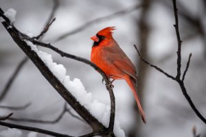 Small--44.jpg Small--44.jpg