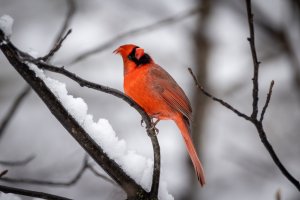 Small--45.jpg Small--45.jpg