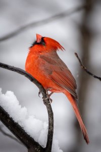 Small--46.jpg Small--46.jpg