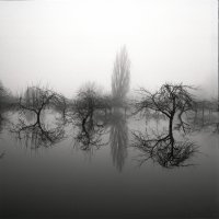 180127 Kühkopf Ilford HP 5 Film 5 Bild 6 kleine Auflösung.jpg