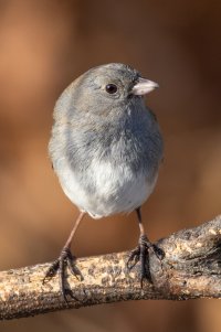 200-800 @1120--3.jpg