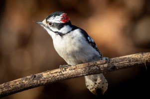 200-800 @1120--4.jpg