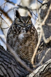 EOS R7_3890-Enhanced-NR-Edit.jpg