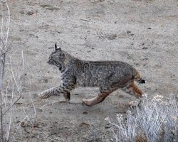 EOS R5_4294-Enhanced-NR-Edit.jpg