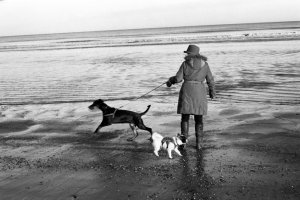 fraisethorpe 2020.jpg