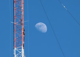 IMG_1425 picasa crop.JPG