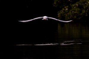 small--10.jpg small--10.jpg