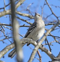 5D3_0108 ps3 fix.jpg