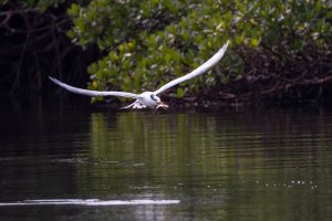 small-8685.jpg small-8685.jpg