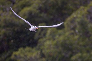 small--9.jpg small--9.jpg