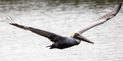 small--7.jpg small--7.jpg