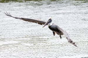 small-8633.jpg small-8633.jpg