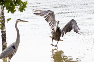 small-8639.jpg small-8639.jpg