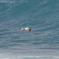 DSC_1055_DxO.jpg DSC_1055_DxO.jpg