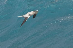 DSC_1060_DxO.jpg DSC_1060_DxO.jpg