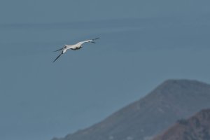 DSC_1161_DxO.jpg DSC_1161_DxO.jpg