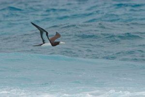 DSC_1273_DxO.jpg DSC_1273_DxO.jpg